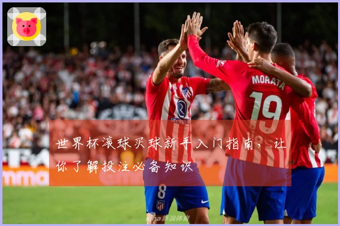 世界杯滚球买球新手入门指南，让你了解投注必备知识