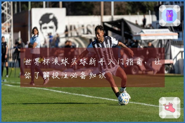 世界杯滚球买球新手入门指南，让你了解投注必备知识