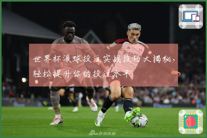 世界杯滚球投注实战技巧大揭秘，轻松提升你的投注水平