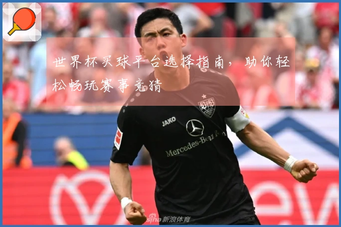 世界杯买球平台选择指南，助你轻松畅玩赛事竞猜