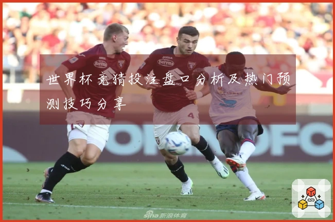 世界杯竞猜投注盘口分析及热门预测技巧分享