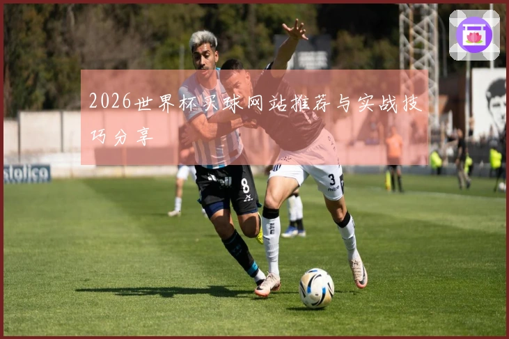 2026世界杯买球网站推荐与实战技巧分享