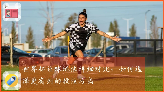 世界杯让球玩法详细对比,如何选择更有利的投注方式