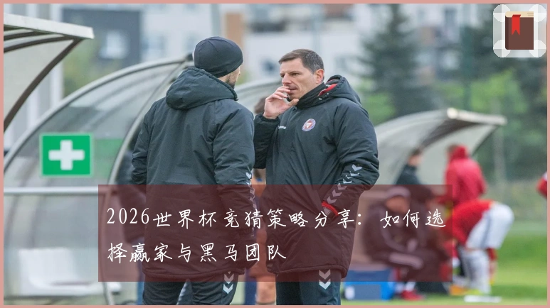 2026世界杯竞猜策略分享：如何选择赢家与黑马团队