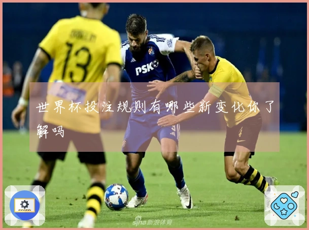 世界杯投注规则有哪些新变化你了解吗
