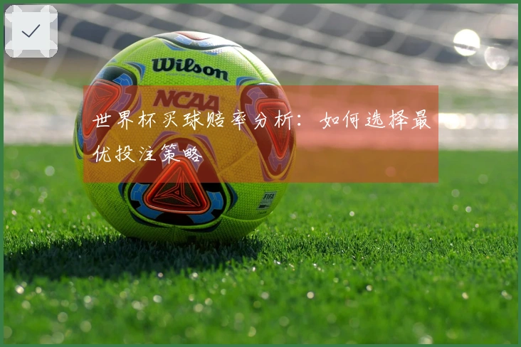 世界杯买球赔率分析：如何选择最优投注策略