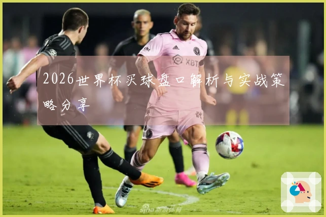 2026世界杯买球盘口解析与实战策略分享